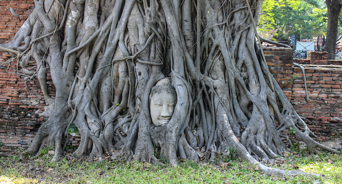 Un día en Ayutthaya